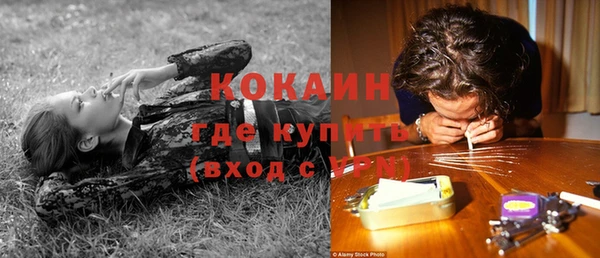 гашик Покров