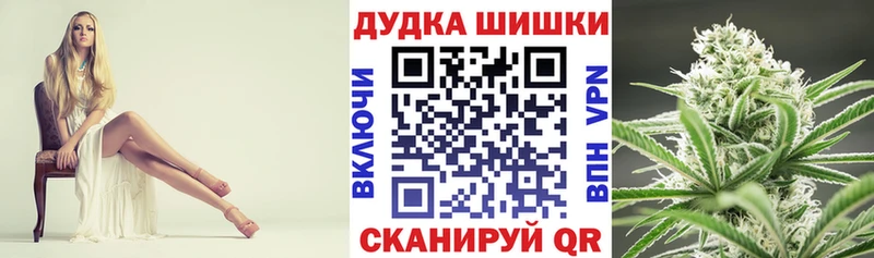 Бошки Шишки сатива  купить закладку  Сельцо 